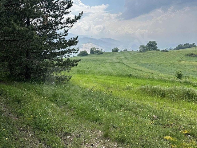 BOLU SARAYCIK KÖYÜ ORMAN İÇİ 2280m2 YOLU MEVCUT OKSiJEN DEPOSU