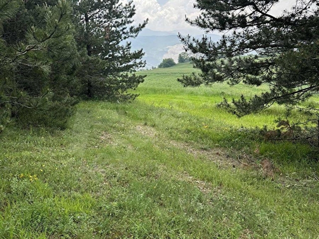 BOLU SARAYCIK KÖYÜ ORMAN İÇİ 2280m2 YOLU MEVCUT OKSiJEN DEPOSU - Görsel 16