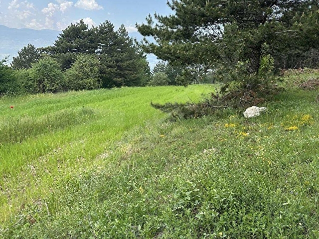 BOLU SARAYCIK KÖYÜ ORMAN İÇİ 2280m2 YOLU MEVCUT OKSiJEN DEPOSU - Görsel 14