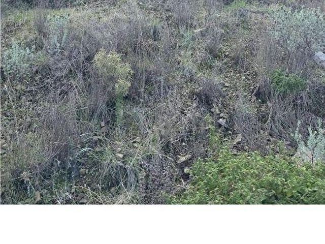 MUĞLA DATÇA DA YAZI MAHALLESİ KARAKULAK MEVKİNDE YATIRIMLIK ARSA - Görsel 14