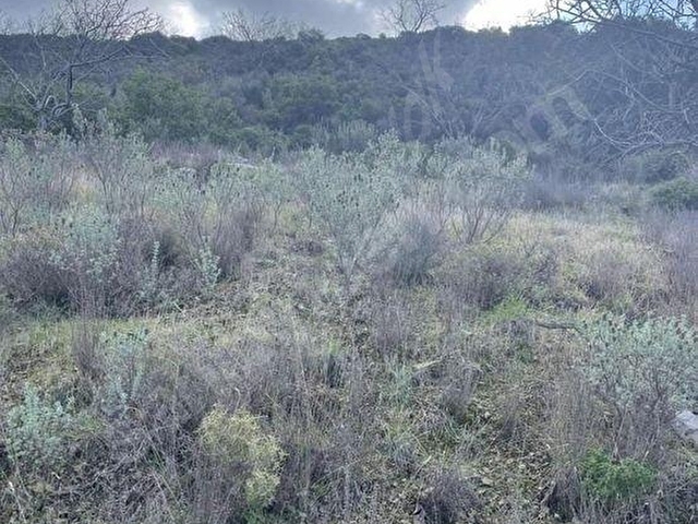 MUĞLA DATÇA DA YAZI MAHALLESİ KARAKULAK MEVKİNDE YATIRIMLIK ARSA - Görsel 13