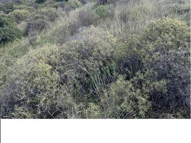 MUĞLA DATÇA DA YAZI MAHALLESİ KARAKULAK MEVKİNDE YATIRIMLIK ARSA - Görsel 23