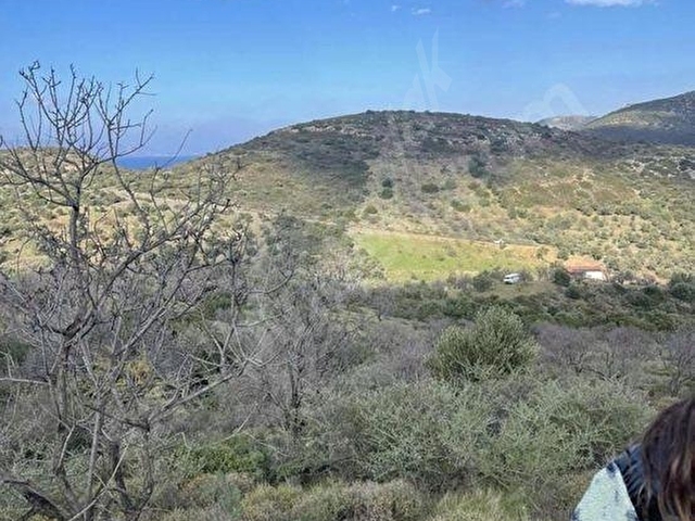 MUĞLA DATÇA DA YAZI MAHALLESİ KARAKULAK MEVKİNDE YATIRIMLIK ARSA - Görsel 15