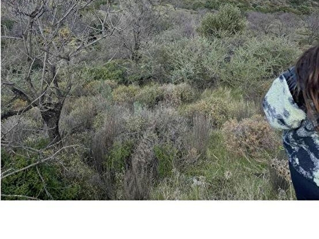 MUĞLA DATÇA DA YAZI MAHALLESİ KARAKULAK MEVKİNDE YATIRIMLIK ARSA - Görsel 16
