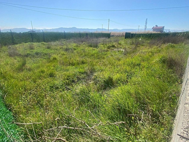 🟥AKTİFTEN BURHANİYE ÇORUKTA345 M2 ETRAFI TELLE CEVRİLİ HOBİ BAHÇESİNE UYGUN SATILIK ARSA🟥 - Görsel 11