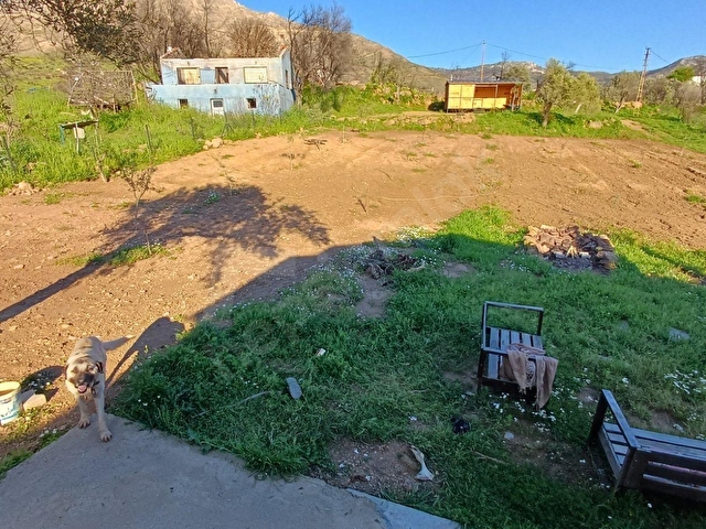 Seferihisar Orhanlıda Satılık 1 Dönüm 700 m² Zeytinlik Tarla, - Görsel 14