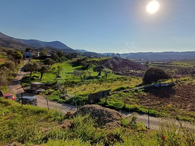 Seferihisar Orhanlıda Satılık 1 Dönüm 700 m² Zeytinlik Tarla, - Görsel 9