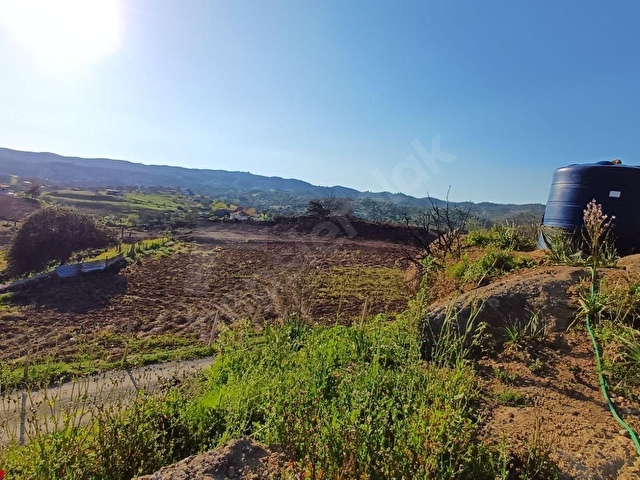 Seferihisar Orhanlıda Satılık 1 Dönüm 700 m² Zeytinlik Tarla, - Görsel 2