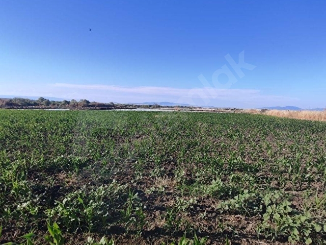 ÇANAKKALE BİGA GERLENGEÇ KÖYÜNDE SATILIK TARLA - Görsel 17