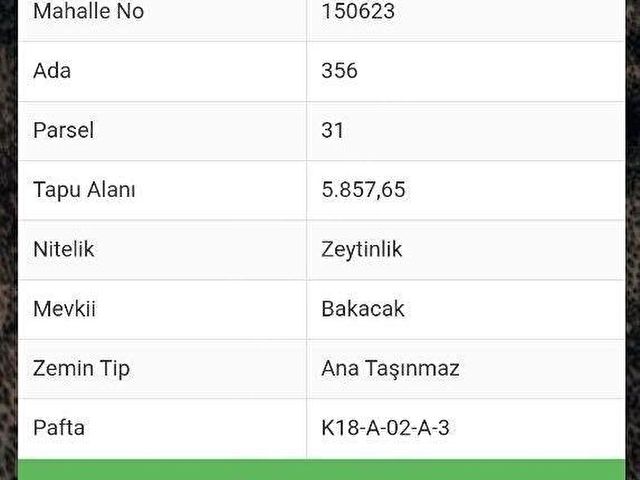 Bergama Zeytindağ.da Deniz Manzaralı Satılık 5857m2 Zeytinlik - Görsel 13