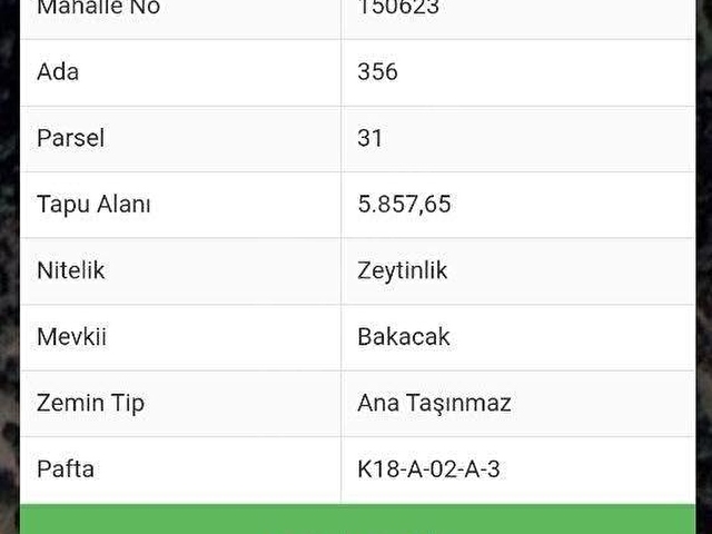 Bergama Zeytindağ.da Deniz Manzaralı Satılık 5857m2 Zeytinlik - Görsel 10