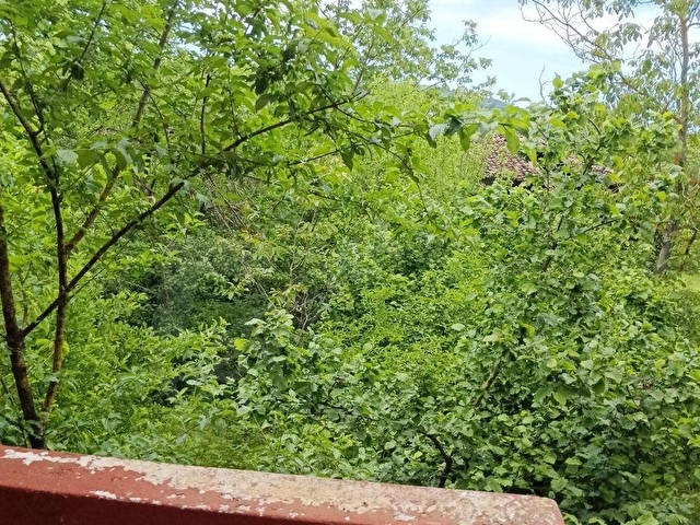 SINOP GERZE KABANLAR KÖYÜNDE ÇIFTLIK EVI VE BAHÇE - Görsel 28