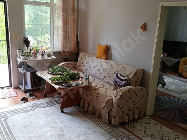 SINOP GERZE KABANLAR KÖYÜNDE ÇIFTLIK EVI VE BAHÇE - Görsel 17