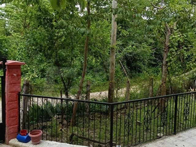 SINOP GERZE KABANLAR KÖYÜNDE ÇIFTLIK EVI VE BAHÇE - Görsel 8