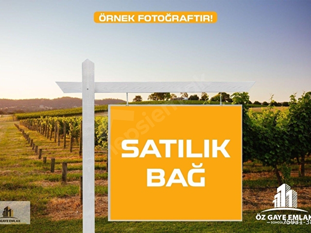 ÖZ GAYE EMLAKTAN DEVELİ TOMBAK MAHALLESİNDE SATILIK BAĞ YERİ