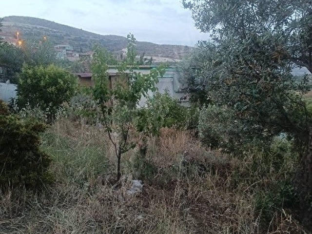 ALİAĞA BOZKÖY DE MÜSTAKİL EV İÇİN İDEAL ARSA - Görsel 16