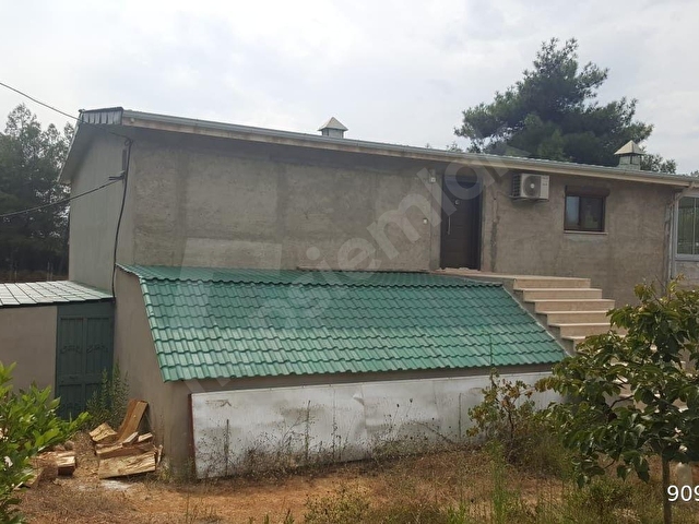 Kuşadası Yeniköyde Doğa İle İç İçe Deniz Manzaralı Çiftlik - Görsel 5