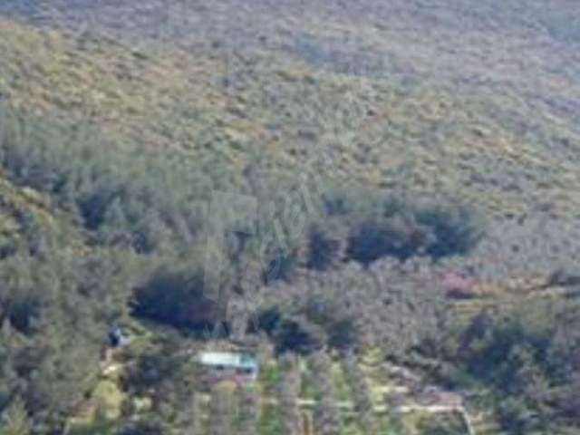 Kuşadası Yeniköyde Doğa İle İç İçe Deniz Manzaralı Çiftlik - Görsel 18
