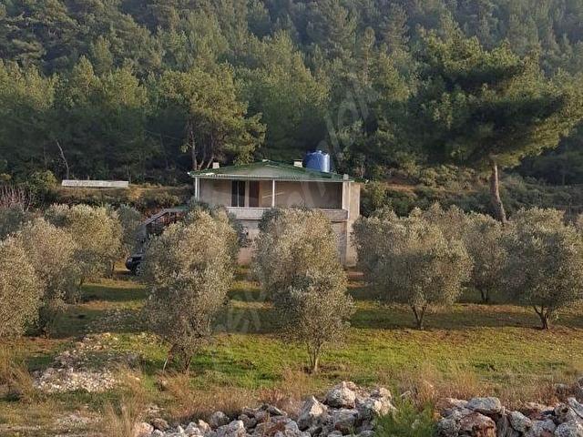 Kuşadası Yeniköyde Doğa İle İç İçe Deniz Manzaralı Çiftlik - Görsel 2