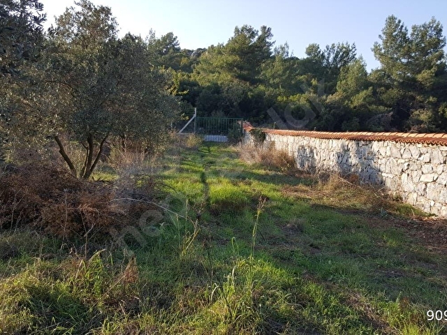 Kuşadası Yeniköyde Doğa İle İç İçe Deniz Manzaralı Çiftlik - Görsel 8