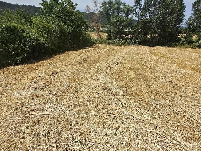 Kestel gölcük köyünde imar planı içinde satılık tarla - Görsel 15
