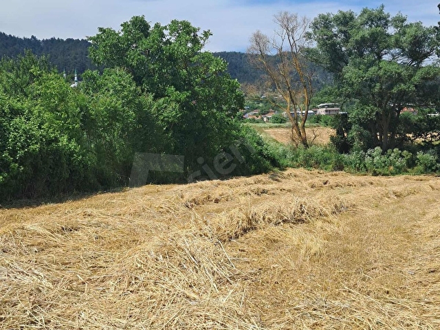 Kestel gölcük köyünde imar planı içinde satılık tarla - Görsel 5
