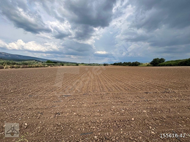 ARI EMLAKTAN TURGUTLUDA 25.800 m2 YATIRIMLIK FIRSAT ARAZİ - Görsel 5