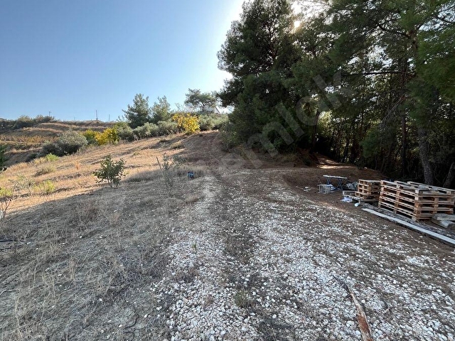 TARSUS ÇAKIRLIDA  5.618m2  SATILIK HARNUP VE ZEYTİN BAHÇESİ - Görsel 2