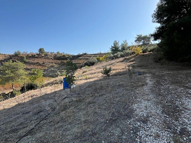 TARSUS ÇAKIRLIDA  5.618m2  SATILIK HARNUP VE ZEYTİN BAHÇESİ - Görsel 10
