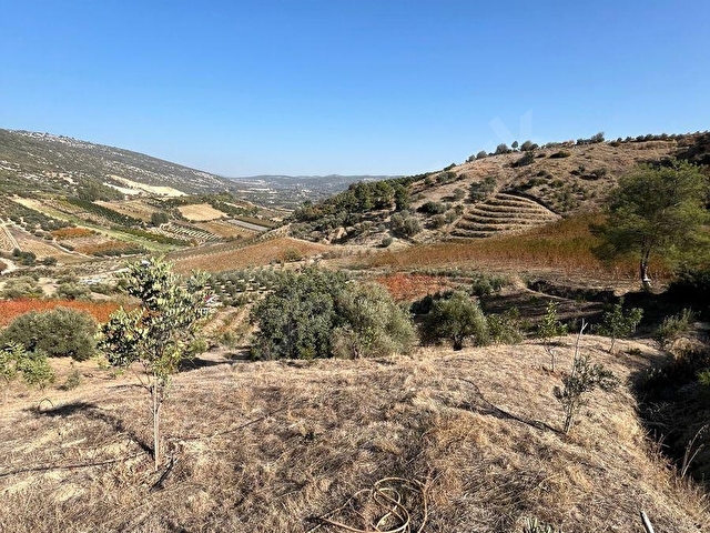 TARSUS ÇAKIRLIDA  5.618m2  SATILIK HARNUP VE ZEYTİN BAHÇESİ - Görsel 11
