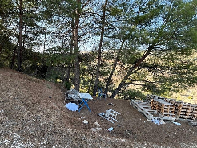 TARSUS ÇAKIRLIDA  5.618m2  SATILIK HARNUP VE ZEYTİN BAHÇESİ - Görsel 12