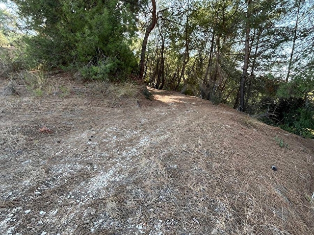 TARSUS ÇAKIRLIDA  5.618m2  SATILIK HARNUP VE ZEYTİN BAHÇESİ - Görsel 13