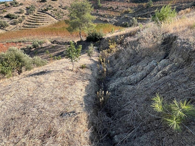 TARSUS ÇAKIRLIDA  5.618m2  SATILIK HARNUP VE ZEYTİN BAHÇESİ - Görsel 15