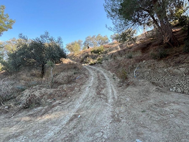 TARSUS ÇAKIRLIDA  5.618m2  SATILIK HARNUP VE ZEYTİN BAHÇESİ - Görsel 29