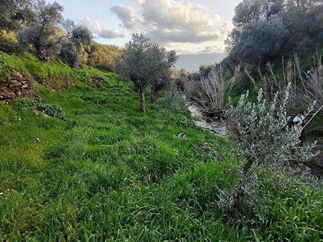 Tire Derebaşı Sahibinden Bahçe - Görsel 5