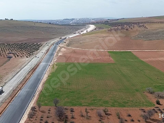 SERİNCEde ASFALT ÜZERİ İMARIN İÇİNDE 1766 M2 HİSSE SATILIK ARAZİ - Görsel 16