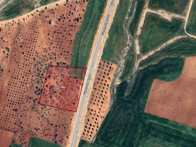 SERİNCEde ASFALT ÜZERİ İMARIN İÇİNDE 1766 M2 HİSSE SATILIK ARAZİ - Görsel 12