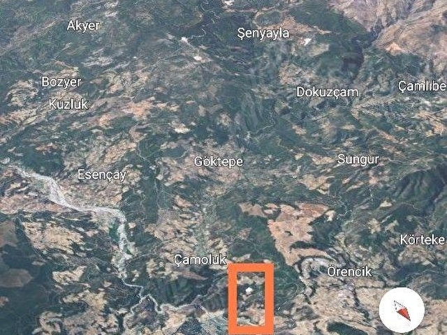 MUGLA MENTEŞE ÇAMOLUKTA SATILIK ZEYTİNLİ TARLA - Görsel 2