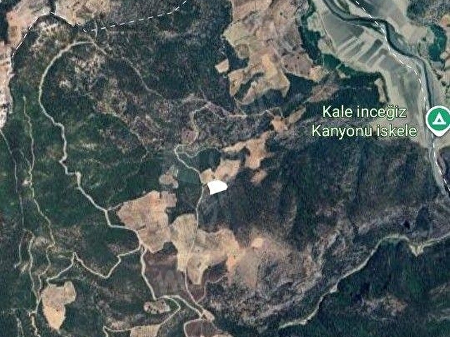 MUGLA MENTEŞE ÇAMOLUKTA SATILIK ZEYTİNLİ TARLA - Görsel 7