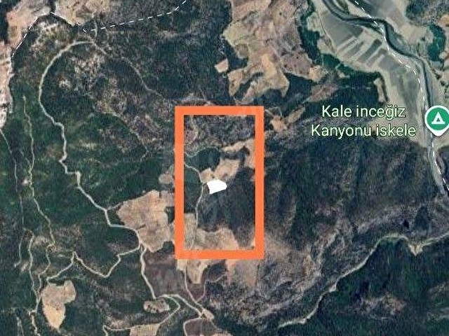 MUGLA MENTEŞE ÇAMOLUKTA SATILIK ZEYTİNLİ TARLA - Görsel 8