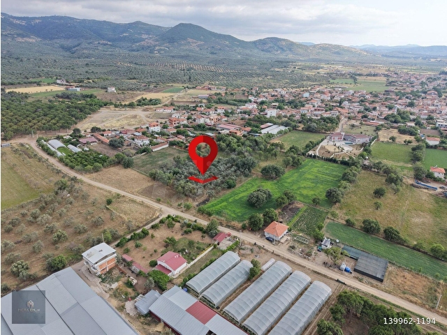 MERA EMLAKTAN BURHANİYE KIZIKLIDA İMARA YAKIN 5.820m2 ZEYTİNLİK - Görsel 5