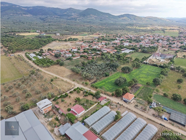 MERA EMLAKTAN BURHANİYE KIZIKLIDA İMARA YAKIN 5.820m2 ZEYTİNLİK - Görsel 15