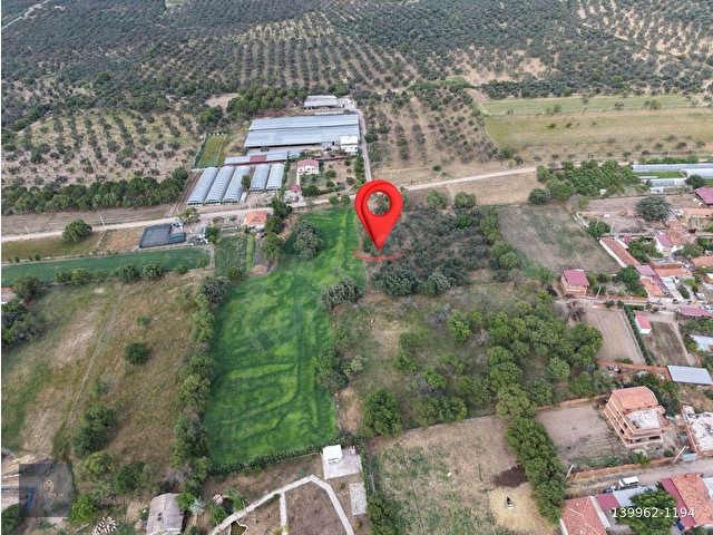 MERA EMLAKTAN BURHANİYE KIZIKLIDA İMARA YAKIN 5.820m2 ZEYTİNLİK - Görsel 3
