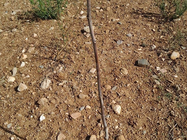KARADENİZ EMLAK ÇANAKKALE BAYRAMİÇ PITIRELLİ KÖYÜNDE 7523 m2 ÇİFLİK - Görsel 3
