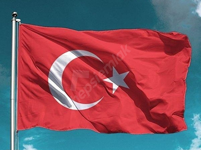 Pendik Güzelyalıda Ofise Konuta Uygun Villa Naci Avcı dan - Görsel 2