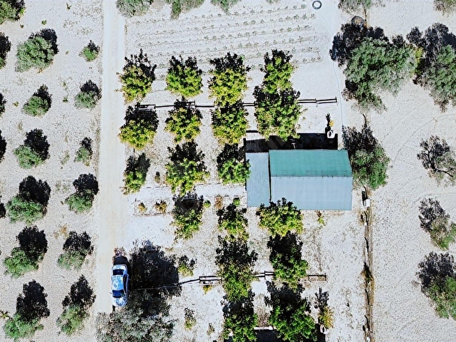 TURYAPtan Urla Kuşçular Yakını Eşyalı Kiralık 2+1 Bungalov Ev - Görsel 3