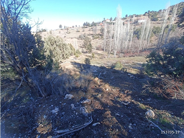 MUĞLA SEYDİKEMER BOĞALAR MAH. MÜKEMMEL ARAZİ SATIŞTA 1952 M2 - Görsel 4