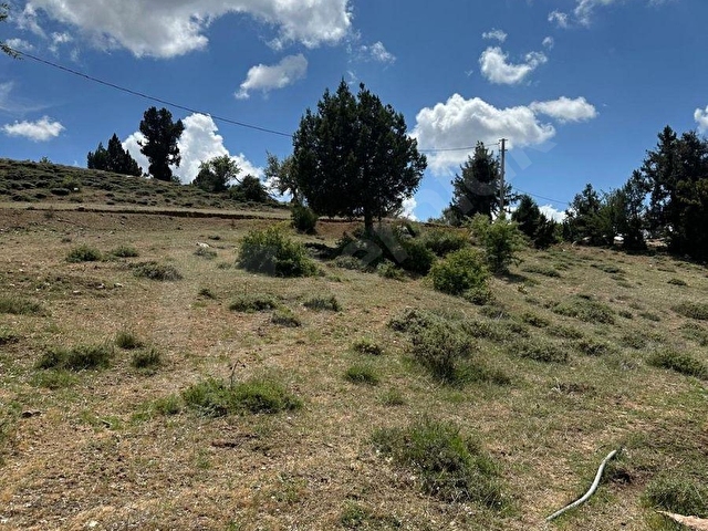 MUĞLA SEYDİKEMER BOĞALAR MAH. MÜKEMMEL ARAZİ SATIŞTA 1952 M2 - Görsel 14