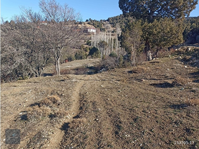 MUĞLA SEYDİKEMER BOĞALAR MAH. MÜKEMMEL ARAZİ SATIŞTA 1952 M2 - Görsel 7