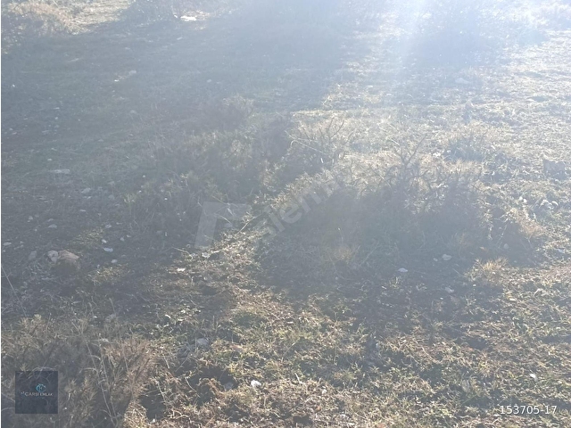 MUĞLA SEYDİKEMER BOĞALAR MAH. MÜKEMMEL ARAZİ SATIŞTA 1952 M2 - Görsel 28
